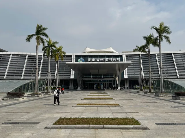 The University of Hong Kong-Shenzhen Hospital